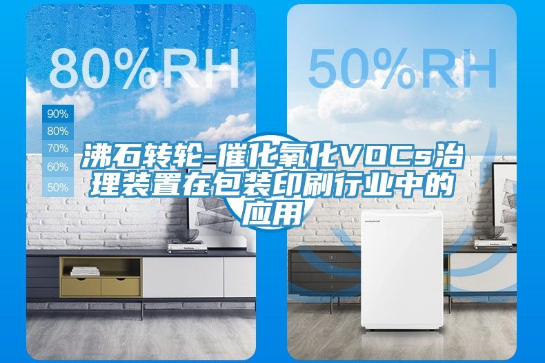 沸石轉(zhuǎn)輪-催化氧化VOCs治理裝置在包裝印刷行業(yè)中的應(yīng)用