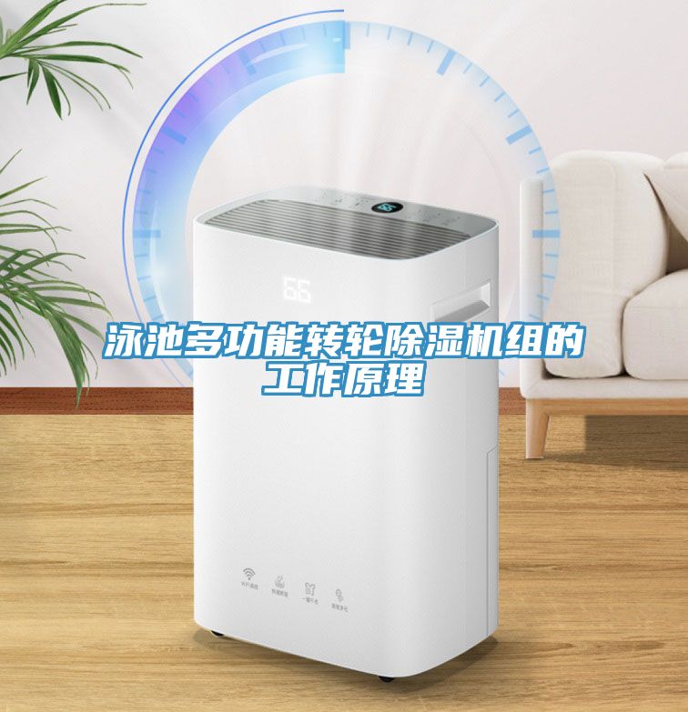 泳池多功能轉(zhuǎn)輪除濕機(jī)組的工作原理
