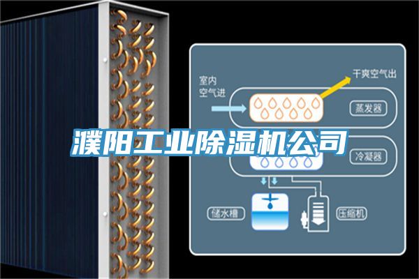 濮陽工業(yè)除濕機(jī)公司