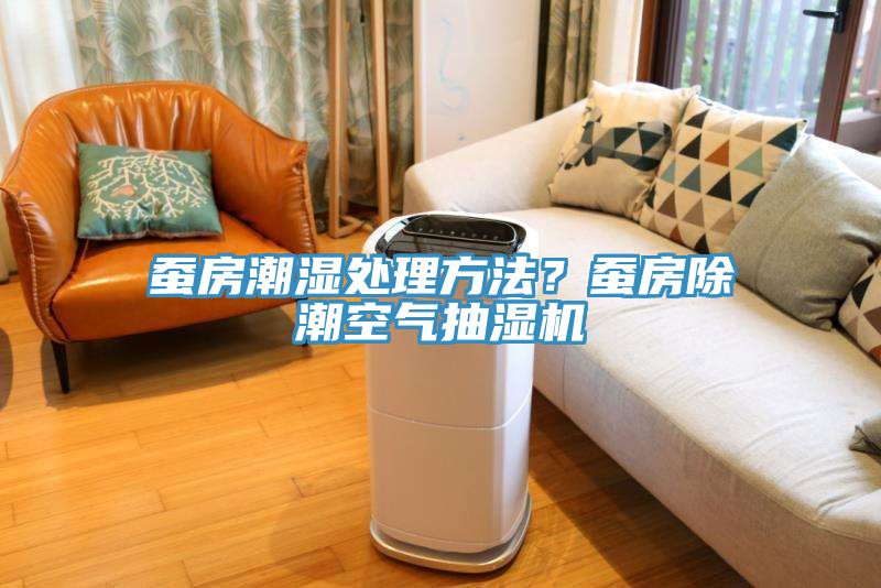 蠶房潮濕處理方法？蠶房除潮空氣抽濕機(jī)