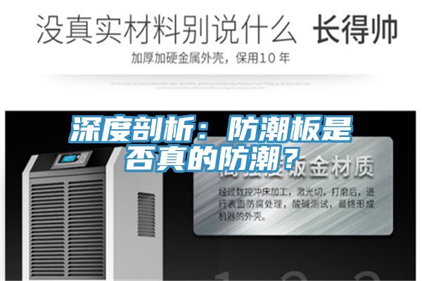 深度剖析：防潮板是否真的防潮？