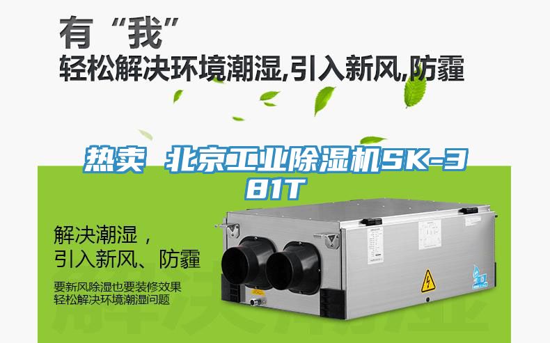熱賣 北京工業(yè)除濕機SK-381T