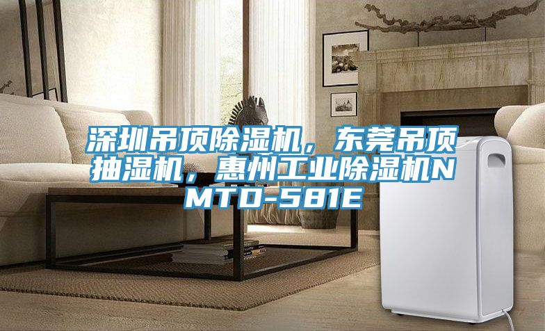 深圳吊頂除濕機(jī)，東莞吊頂抽濕機(jī)，惠州工業(yè)除濕機(jī)NMTD-581E