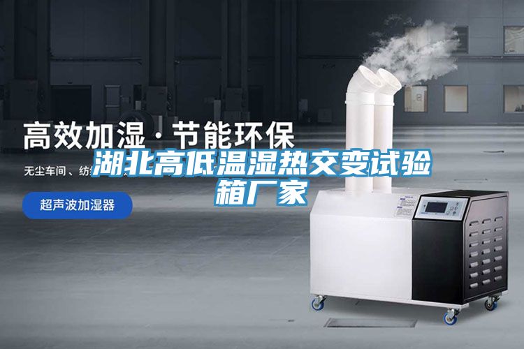 湖北高低溫濕熱交變?cè)囼?yàn)箱廠家