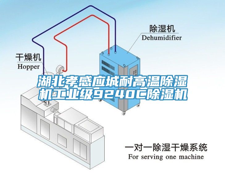 湖北孝感應(yīng)城耐高溫除濕機工業(yè)級9240C除濕機