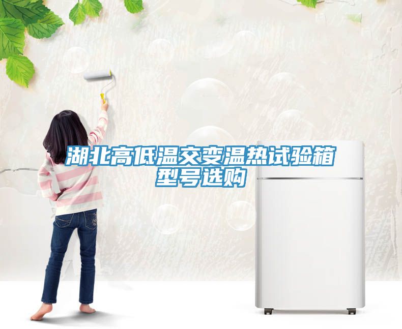 湖北高低溫交變溫?zé)嵩囼?yàn)箱型號(hào)選購(gòu)