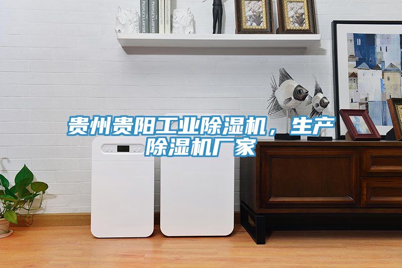 貴州貴陽工業(yè)除濕機，生產(chǎn)除濕機廠家