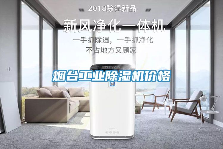 煙臺工業(yè)除濕機價格