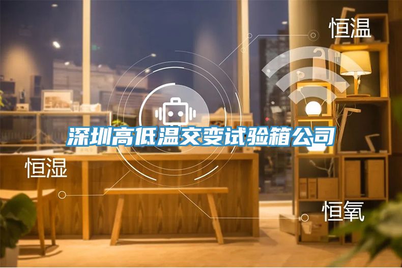 深圳高低溫交變試驗(yàn)箱公司