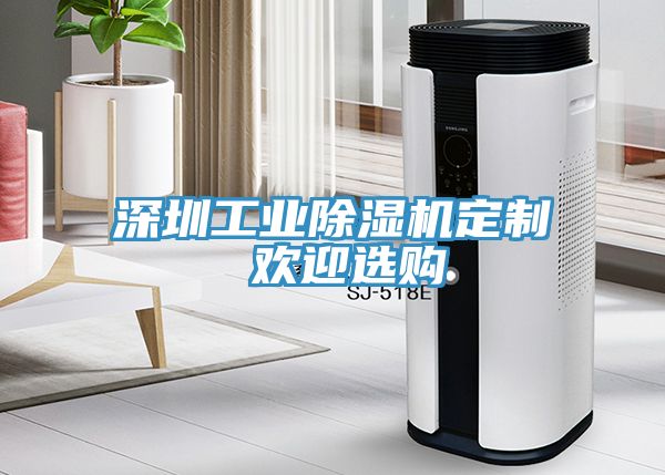 深圳工業(yè)除濕機(jī)定制 歡迎選購