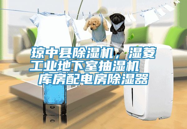 瓊中縣除濕機(jī)，濕菱工業(yè)地下室抽濕機(jī)  庫(kù)房配電房除濕器