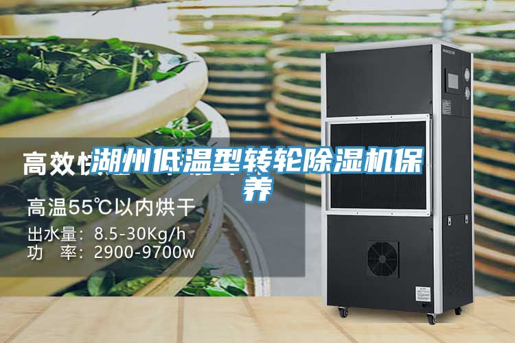 湖州低溫型轉(zhuǎn)輪除濕機(jī)保養(yǎng)