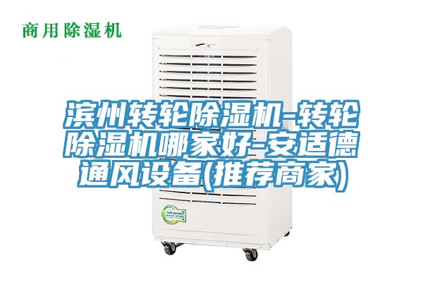 濱州轉(zhuǎn)輪除濕機-轉(zhuǎn)輪除濕機哪家好-安適德通風(fēng)設(shè)備(推薦商家)
