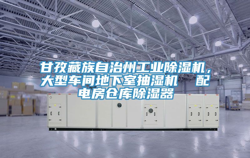 甘孜藏族自治州工業(yè)除濕機(jī)，大型車間地下室抽濕機(jī)  配電房倉庫除濕器
