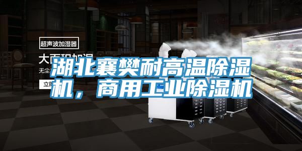 湖北襄樊耐高溫除濕機(jī)，商用工業(yè)除濕機(jī)