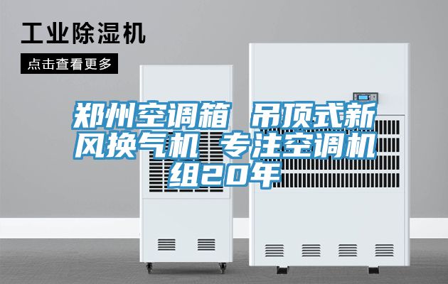 鄭州空調(diào)箱 吊頂式新風換氣機 專注空調(diào)機組20年