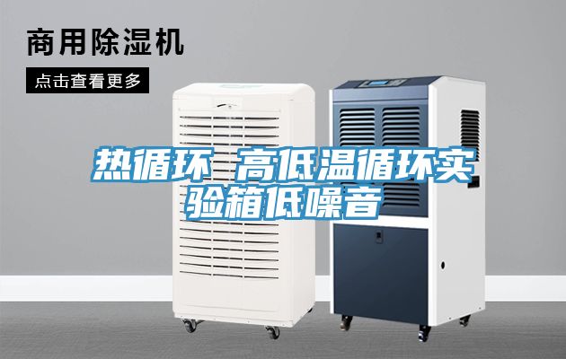 熱循環(huán) 高低溫循環(huán)實(shí)驗(yàn)箱低噪音