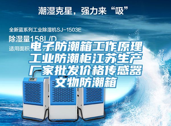 電子防潮箱工作原理工業(yè)防潮柜江蘇生產廠家批發(fā)價格傳感器文物防潮箱