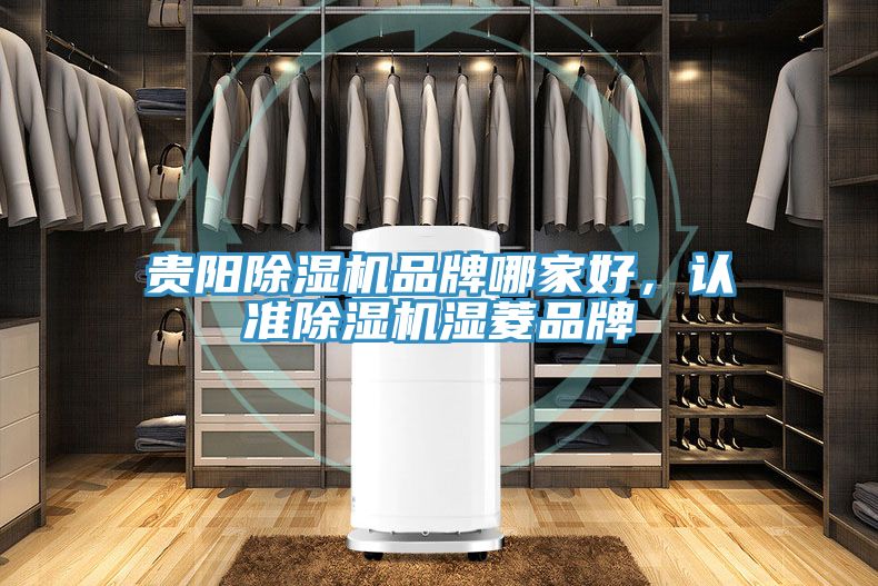 貴陽除濕機品牌哪家好，認(rèn)準(zhǔn)除濕機濕菱品牌