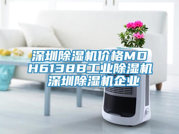 深圳除濕機(jī)價格MDH6138B工業(yè)除濕機(jī) 深圳除濕機(jī)企業(yè)