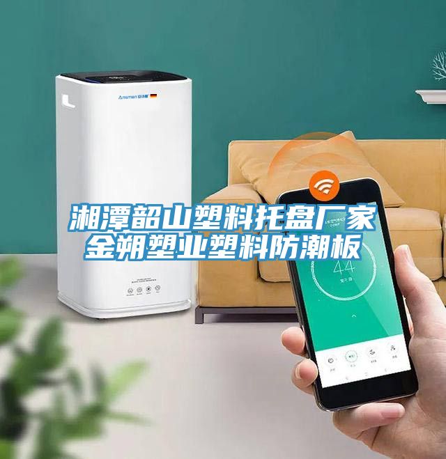 湘潭韶山塑料托盤(pán)廠家金朔塑業(yè)塑料防潮板