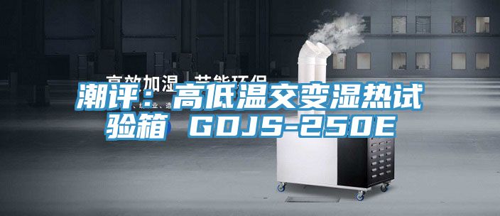 潮評：高低溫交變濕熱試驗(yàn)箱 GDJS-250E
