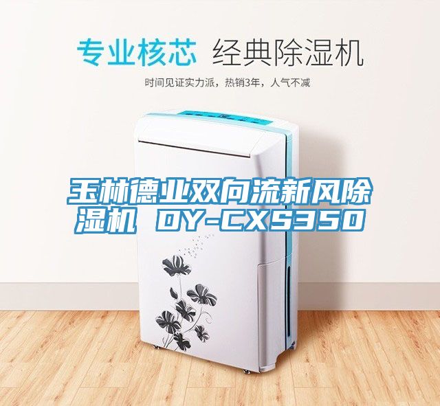 玉林德業(yè)雙向流新風(fēng)除濕機(jī) DY-CXS350