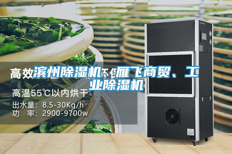 濱州除濕機、雁飛商貿(mào)、工業(yè)除濕機