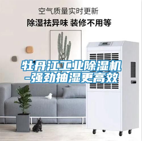 牡丹江工業(yè)除濕機(jī)-強(qiáng)勁抽濕更高效