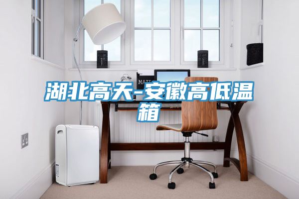 湖北高天-安徽高低溫箱