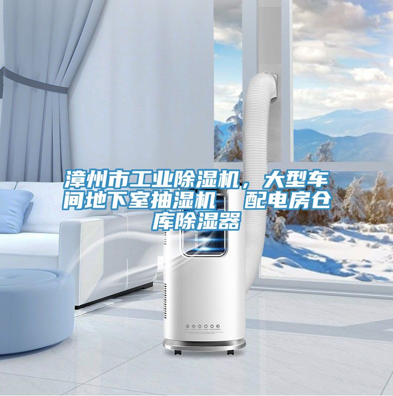 漳州市工業(yè)除濕機，大型車間地下室抽濕機  配電房倉庫除濕器