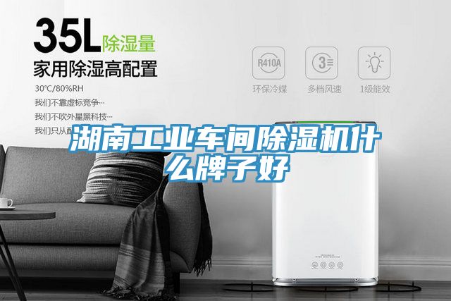 湖南工業(yè)車間除濕機什么牌子好