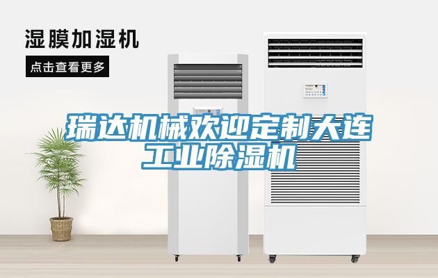 瑞達(dá)機(jī)械歡迎定制大連工業(yè)除濕機(jī)