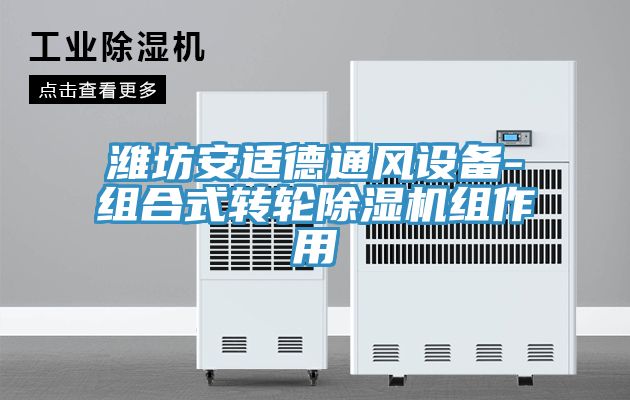 濰坊安適德通風(fēng)設(shè)備-組合式轉(zhuǎn)輪除濕機組作用