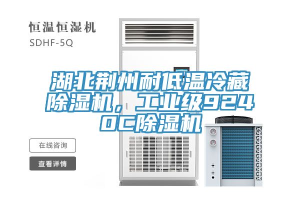 湖北荊州耐低溫冷藏除濕機，工業(yè)級9240C除濕機