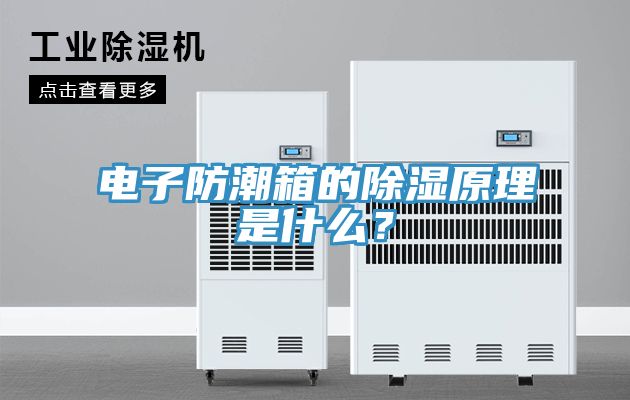 電子防潮箱的除濕原理是什么？