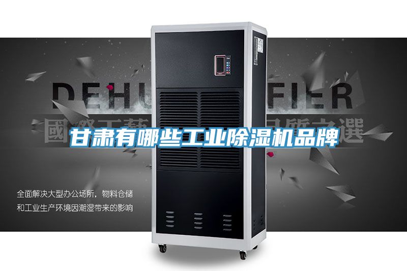 甘肅有哪些工業(yè)除濕機(jī)品牌
