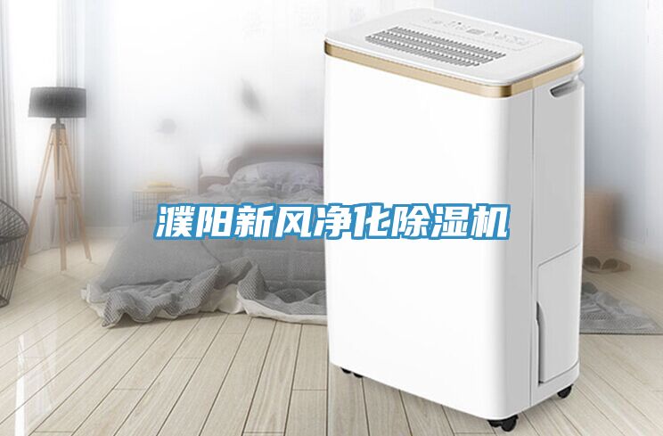 濮陽新風(fēng)凈化除濕機(jī)