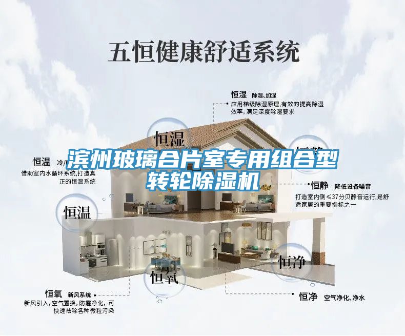 濱州玻璃合片室專用組合型轉(zhuǎn)輪除濕機