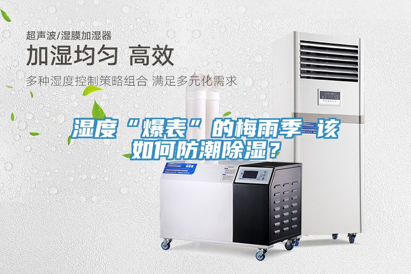 濕度“爆表”的梅雨季 該如何防潮除濕？
