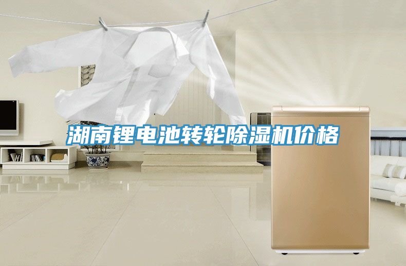湖南鋰電池轉(zhuǎn)輪除濕機價格
