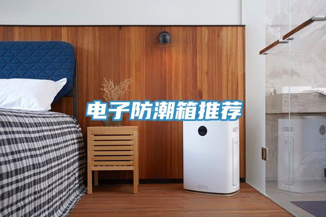 電子防潮箱推薦