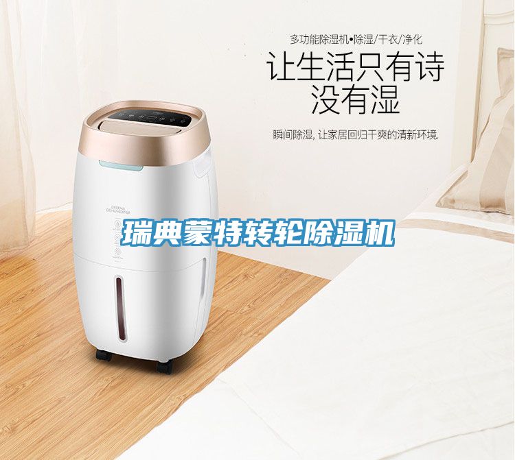 瑞典蒙特轉(zhuǎn)輪除濕機(jī)