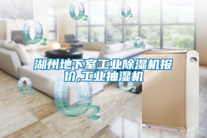 湖州地下室工業(yè)除濕機(jī)報(bào)價(jià),工業(yè)抽濕機(jī)