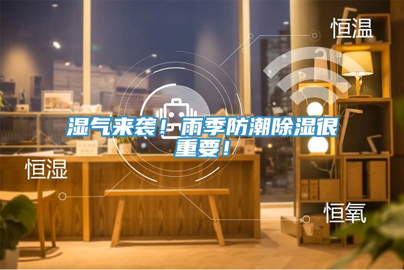 濕氣來襲！雨季防潮除濕很重要！