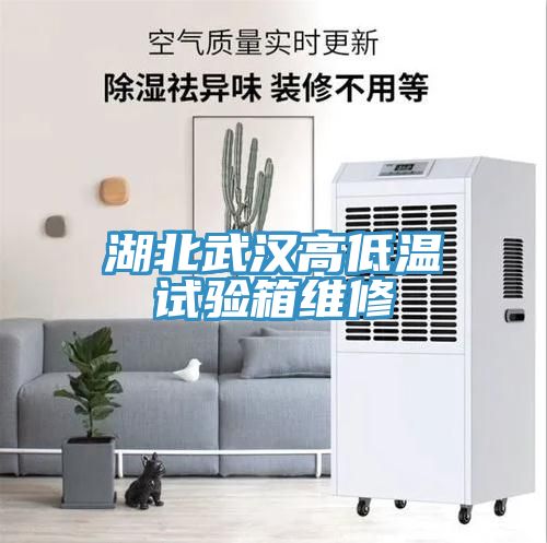 湖北武漢高低溫試驗箱維修