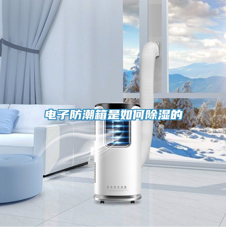 電子防潮箱是如何除濕的