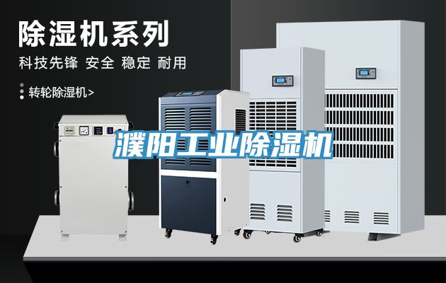 濮陽工業(yè)除濕機(jī)