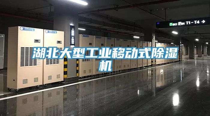 湖北大型工業(yè)移動式除濕機