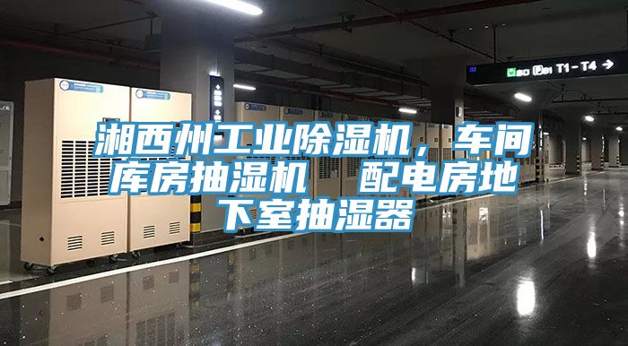 湘西州工業(yè)除濕機(jī)，車(chē)間庫(kù)房抽濕機(jī)  配電房地下室抽濕器